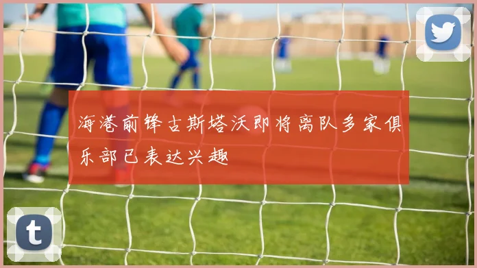 海港前锋古斯塔沃即将离队多家俱乐部已表达兴趣